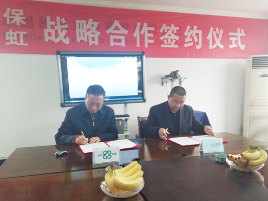 Zhongxing Group and Dongfang Shenghong have successfully signed a strategic cooperation agreement for recycled polyester chips